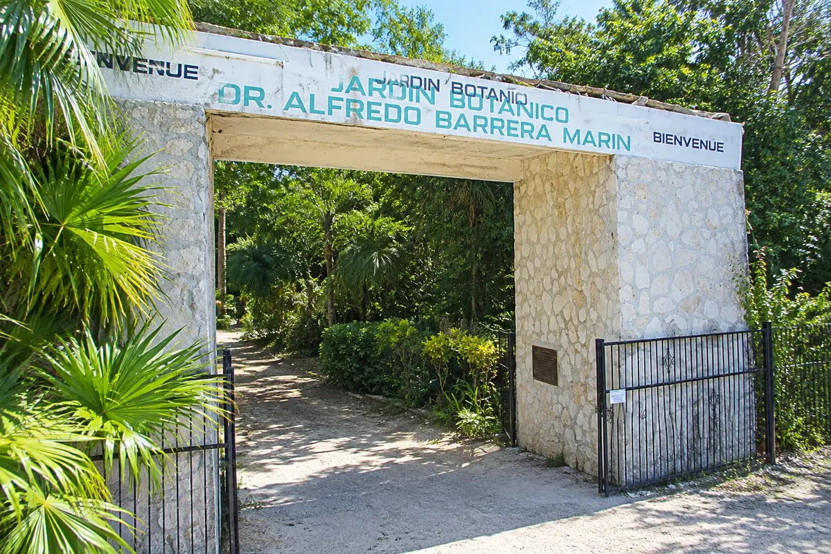 Jardín Botánico Dr. Alfredo Barrera Marín