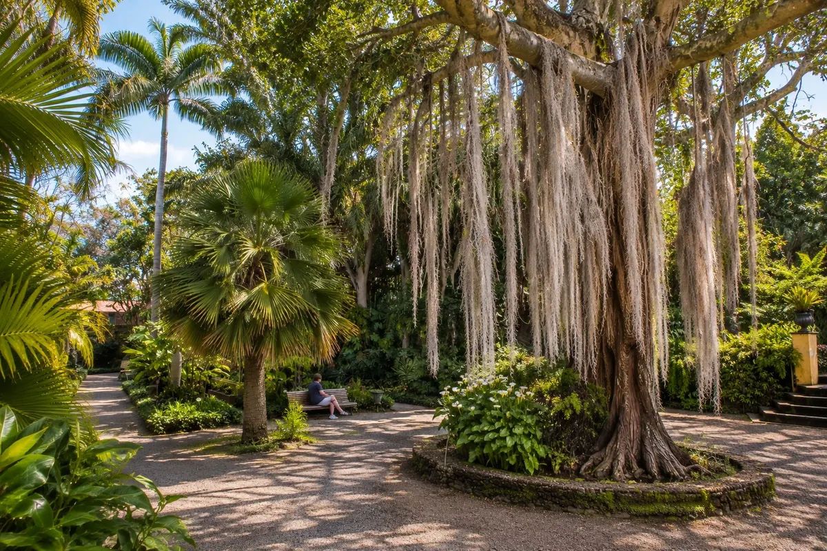 Jardín de Aclimatación de La Orotava