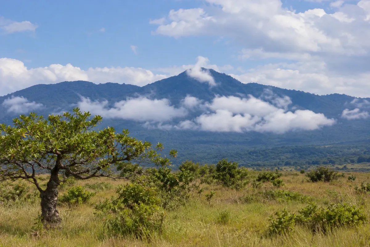 Kanuku Mountains