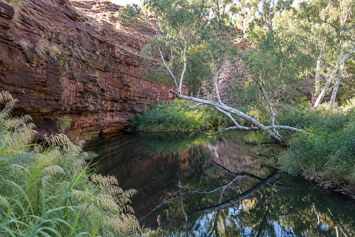 Kathleen Springs