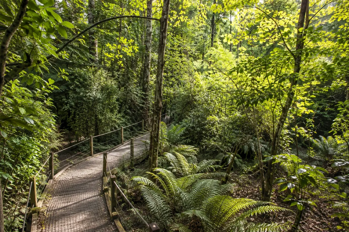 Kiwi Park