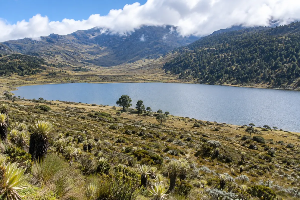 Laguna de Mucubají