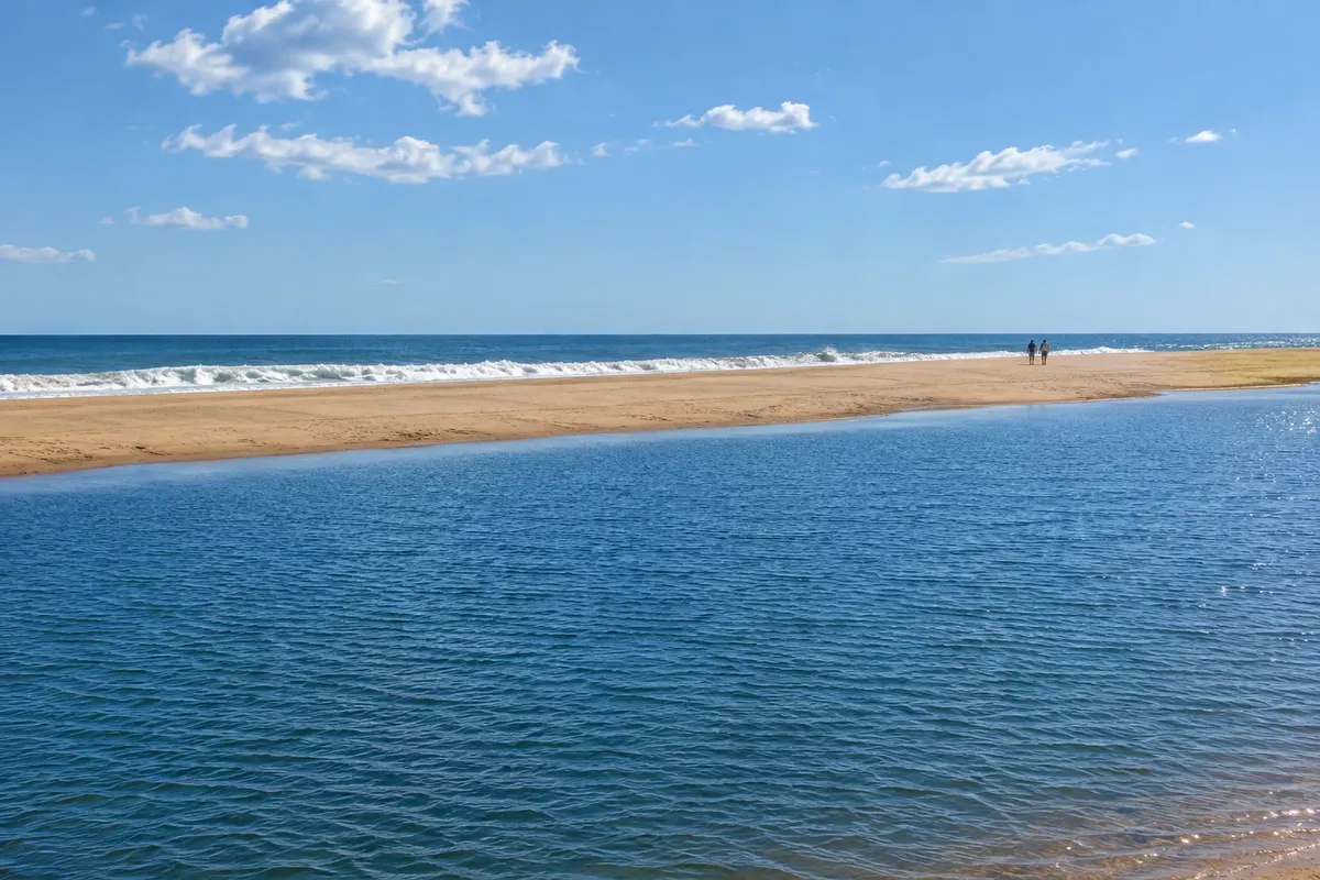 Laguna de Rocha