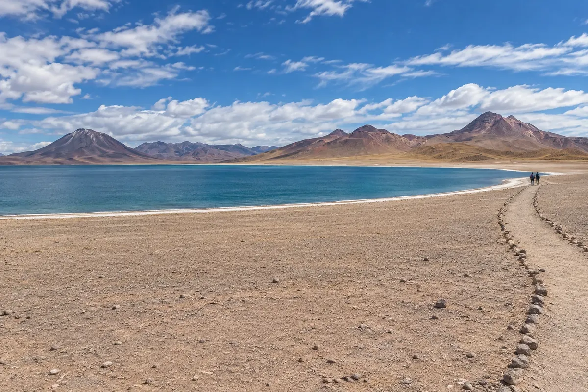 Lagunas Altiplánicas Miscanti y Miñiques
