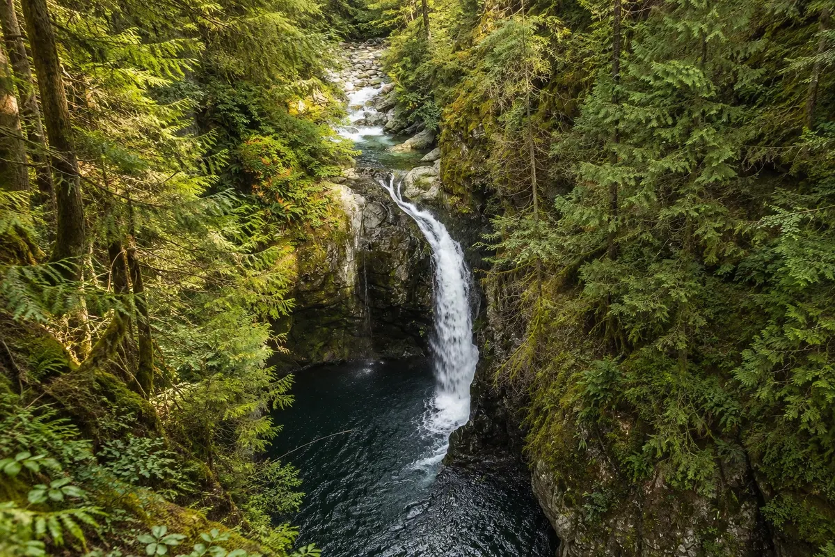 Lynn Canyon Park