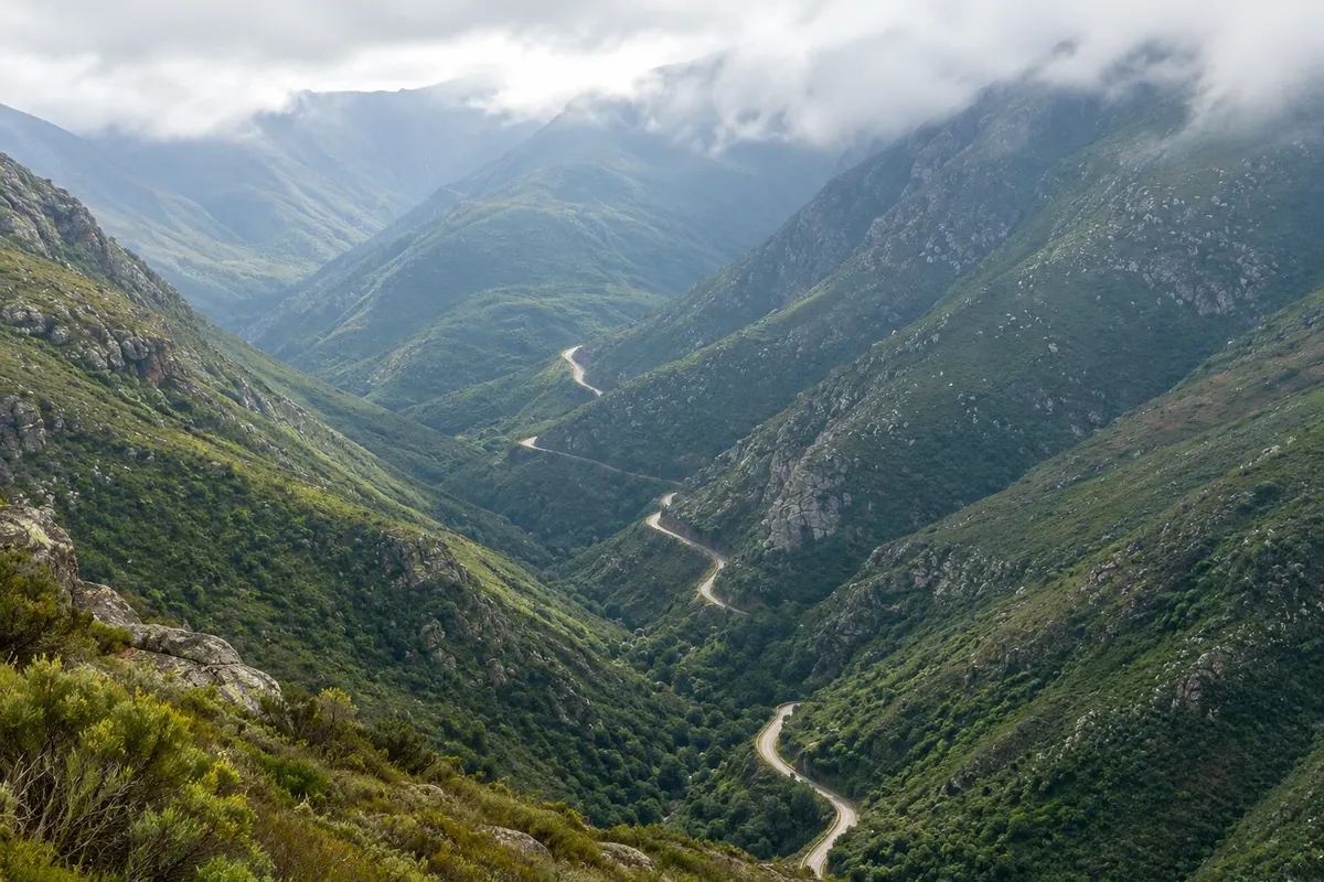 Montagu Pass