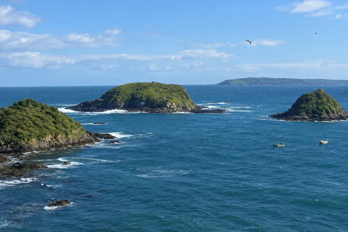 Monumento Natural Islotes de Puñihuil