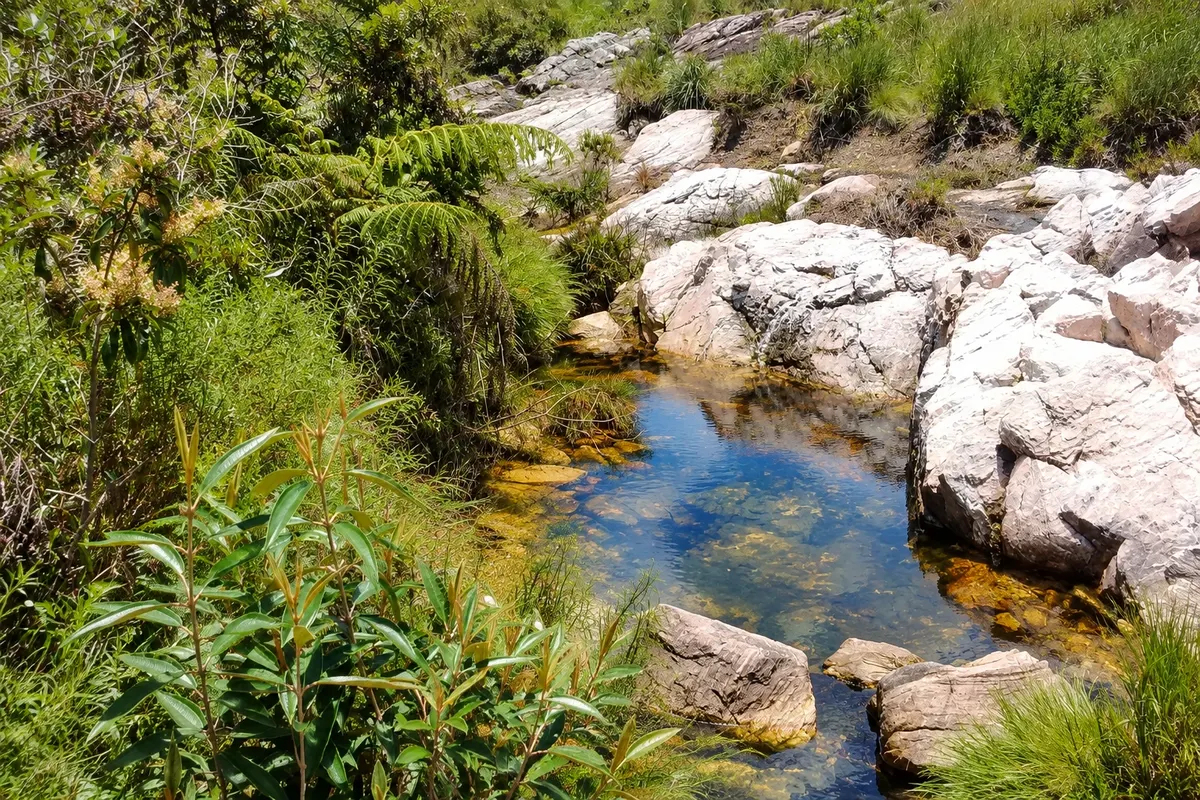 Nascente Histórica do Rio São Francisco