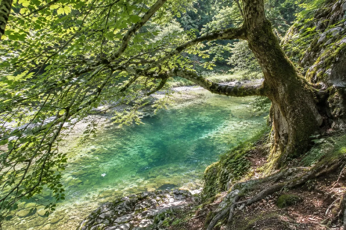 Nationalpark Kalkalpen