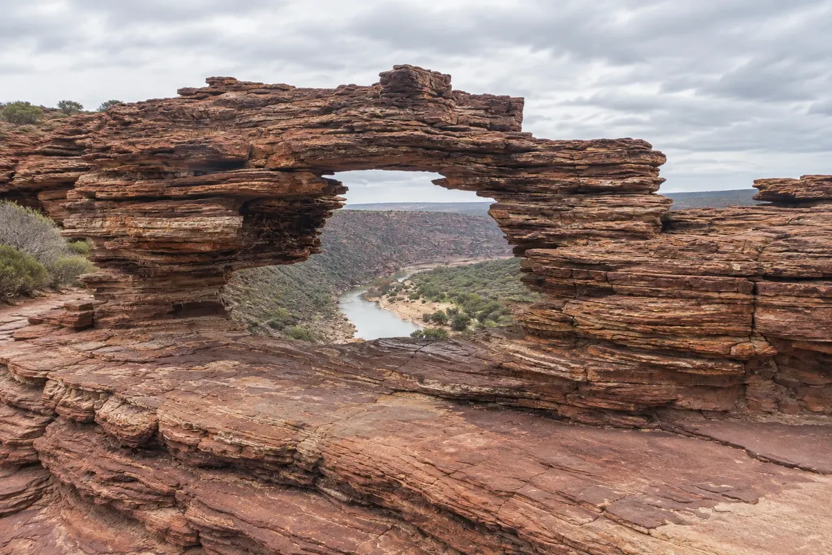 Nature's Window