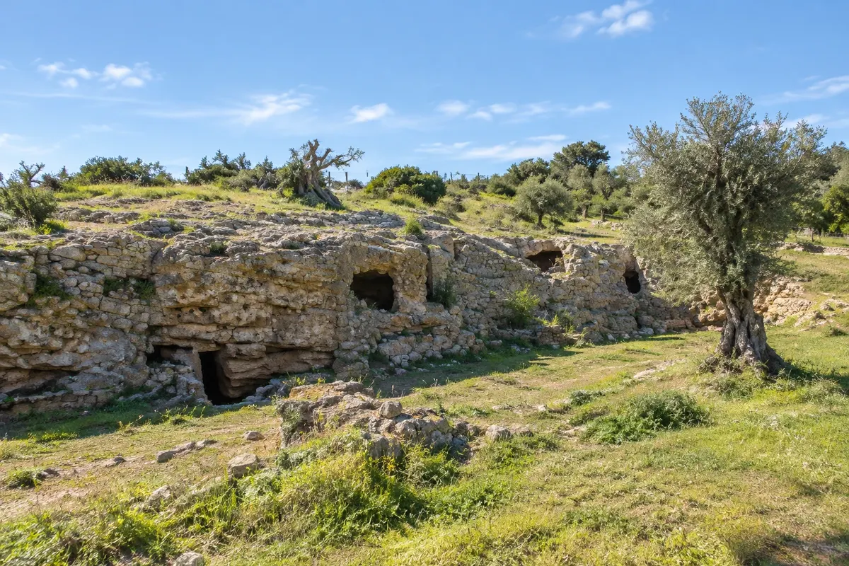 Necròpolis del Puig des Molins