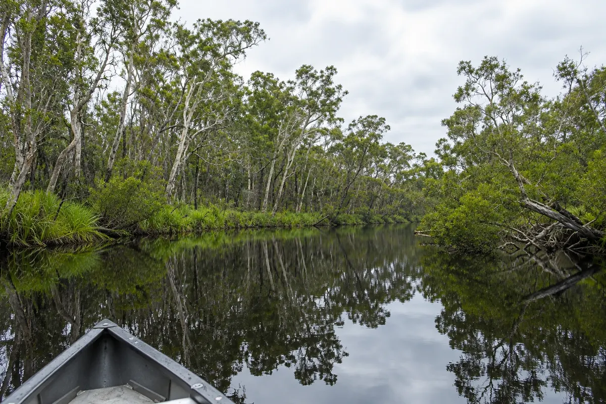 Noosa Everglades