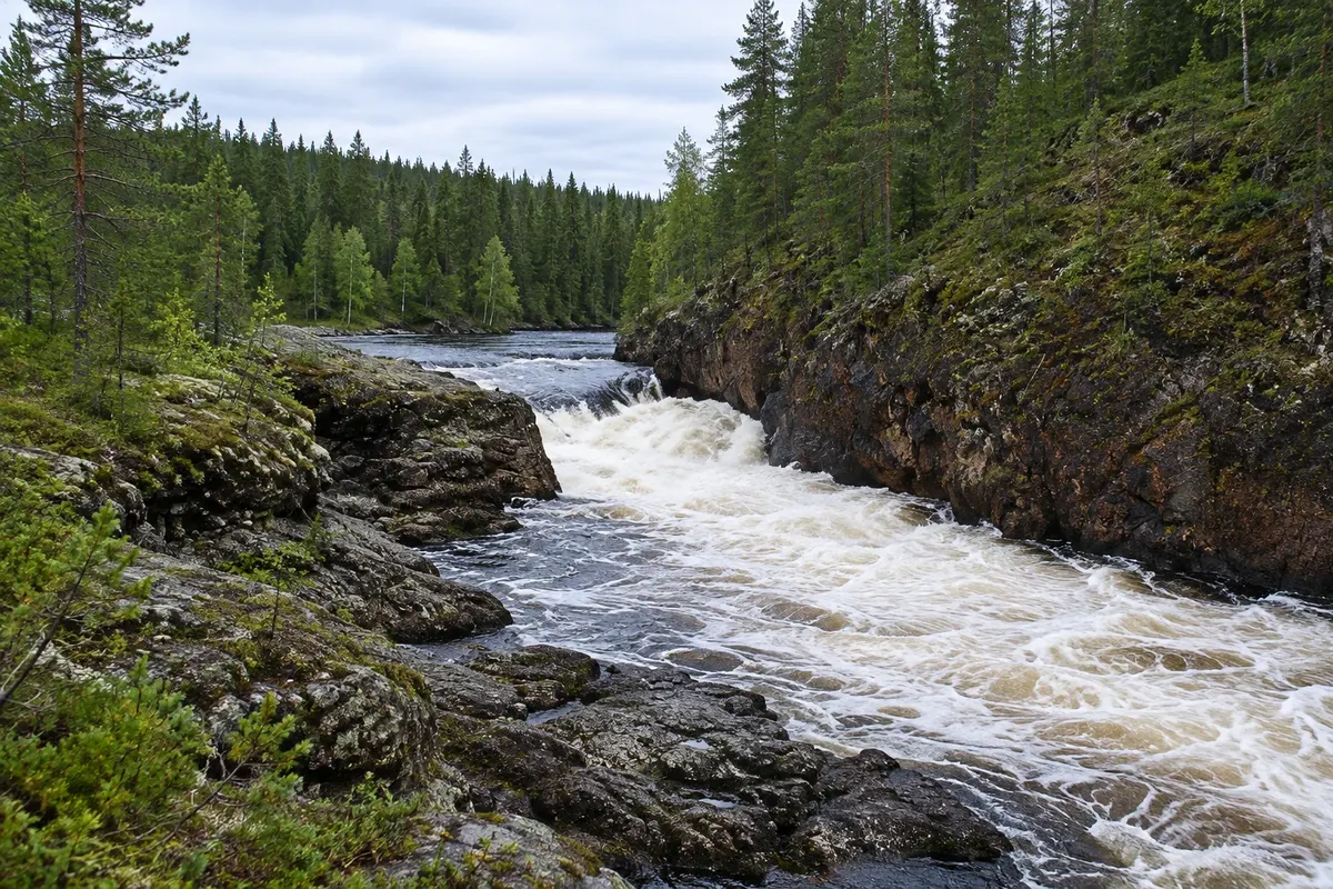 Oulangan kansallispuisto – Kiutaköngäs