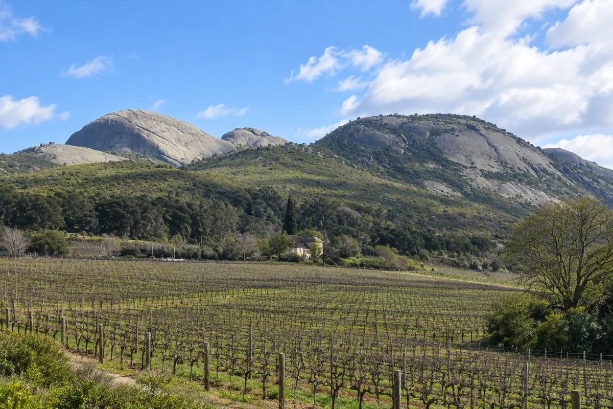 Paarl Mountain Nature Reserve