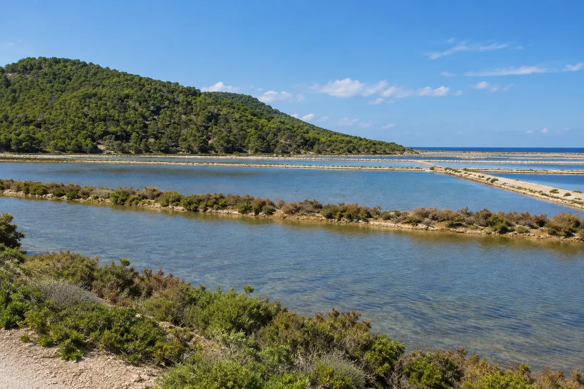 Parc Natural de ses Salines