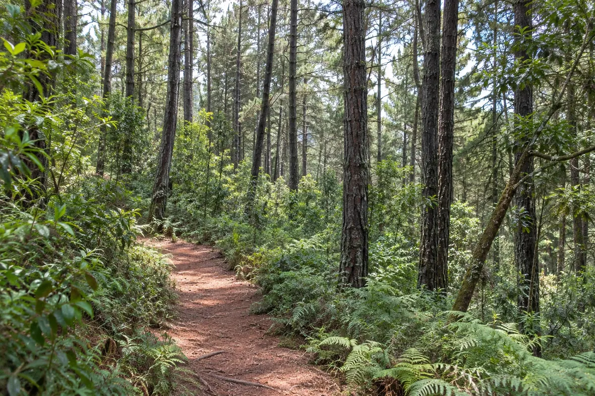 Parque Arví