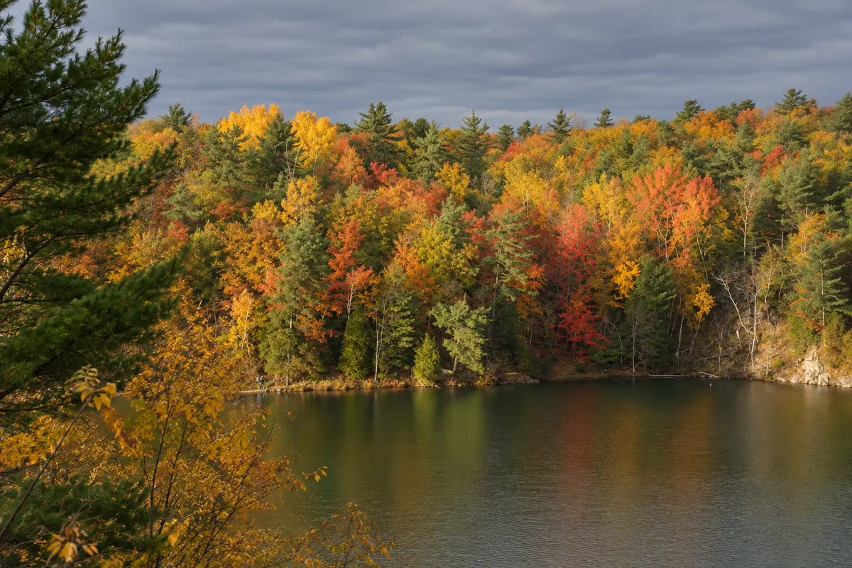 Parque da Gatineau