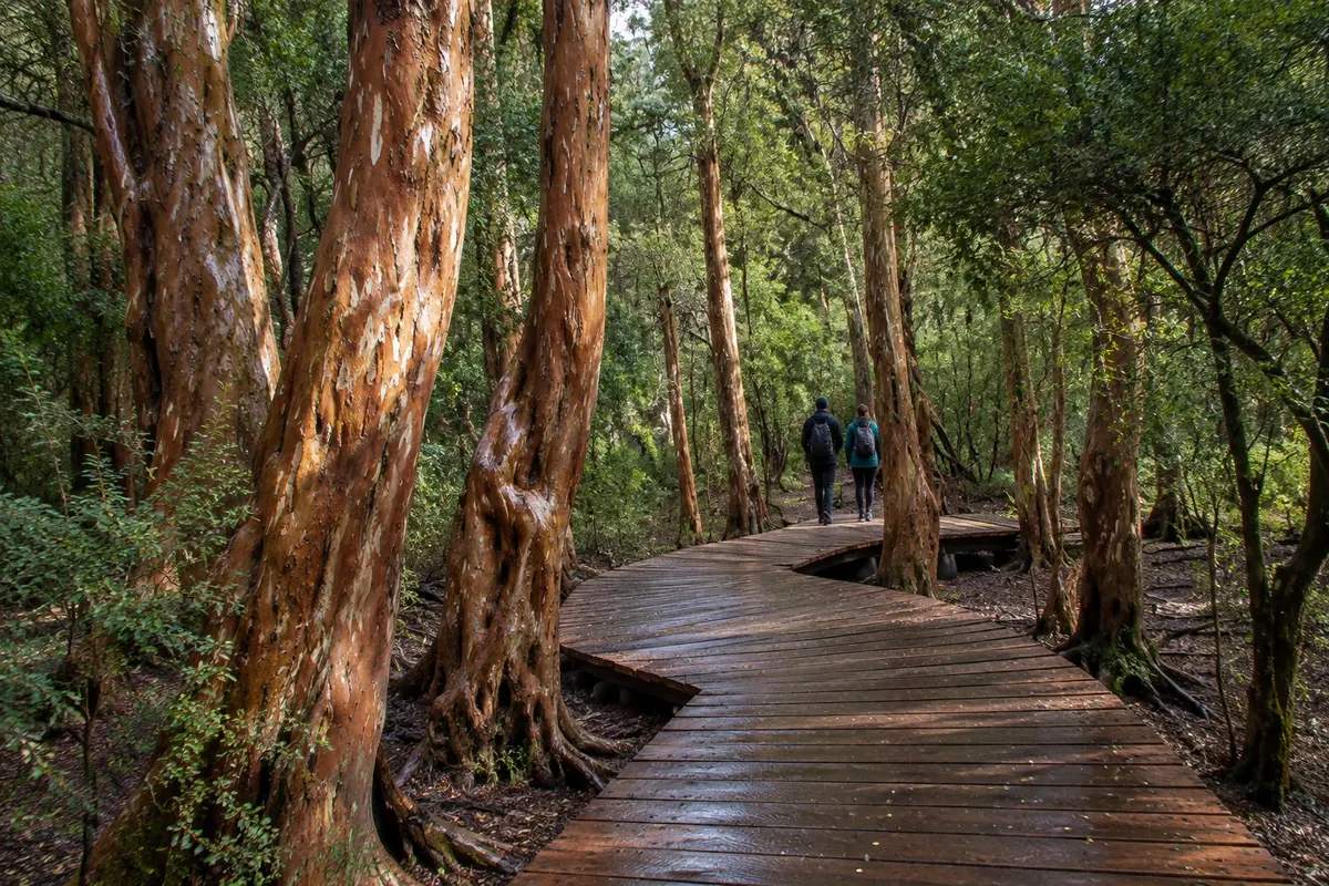 Parque Municipal Llao Llao