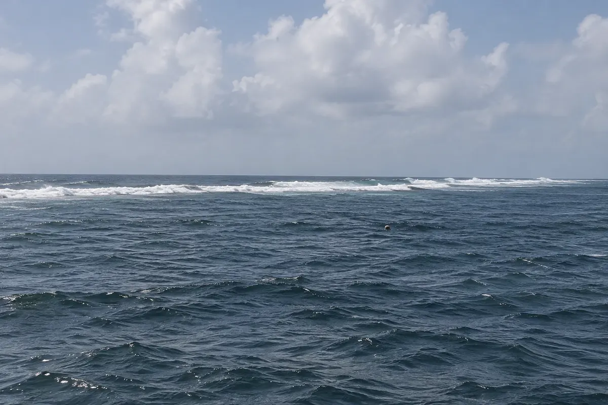 Parque Nacional Arrecife de Puerto Morelos