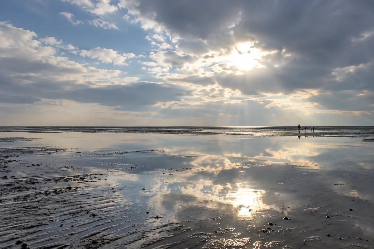 Parque Nacional do Mar de Wadden e Vadehavscentret