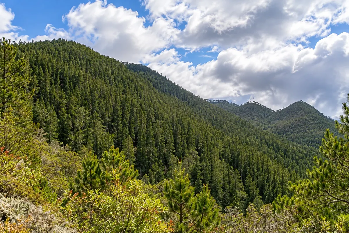 Parque Nacional Valle Nuevo