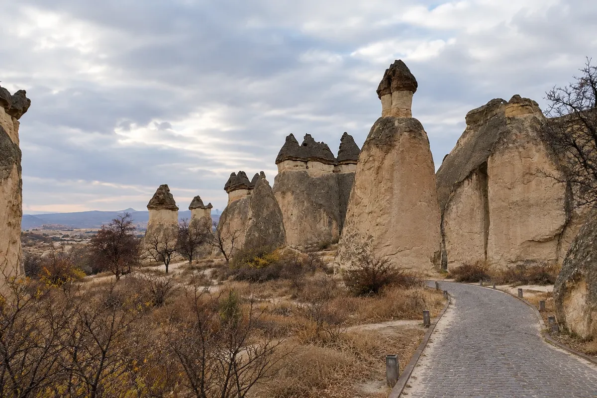Paşabağları