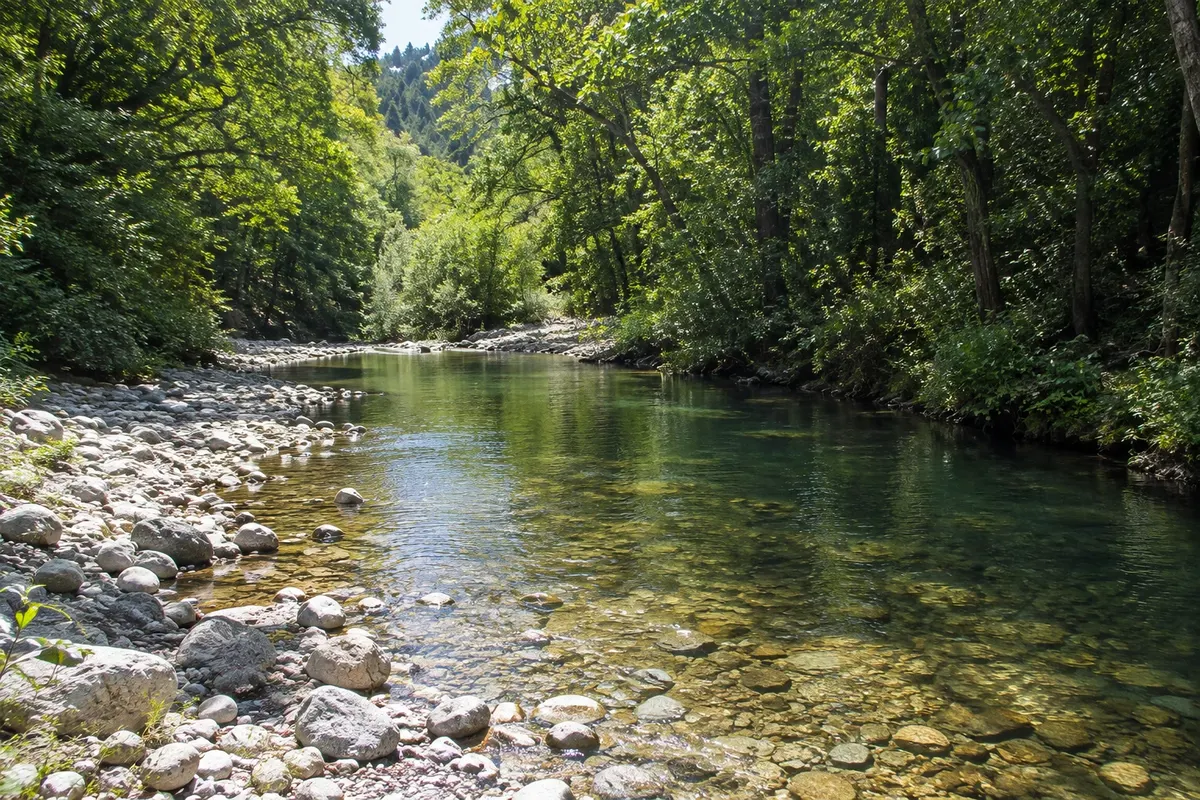 Pfeiffer Big Sur State Park