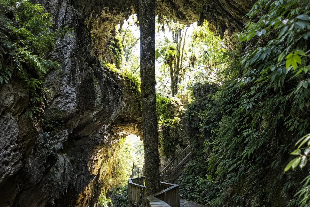 Ponte Natural de Mangapohue