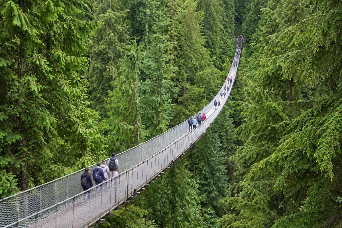 Ponte Suspensa Capilano