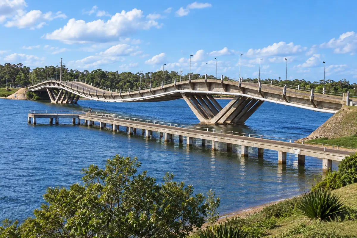Puente Leonel Viera