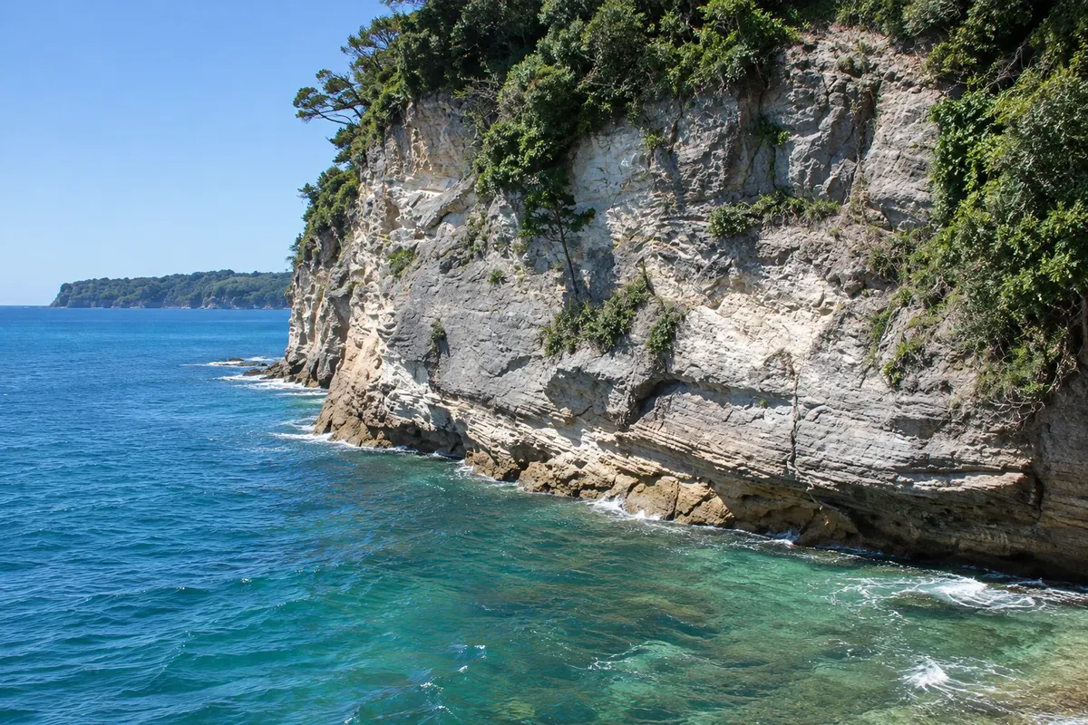 Reserva Marinha Te Whanganui-A-Hei
