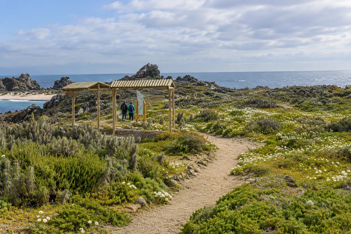 Reserva Nacional Pingüino de Humboldt