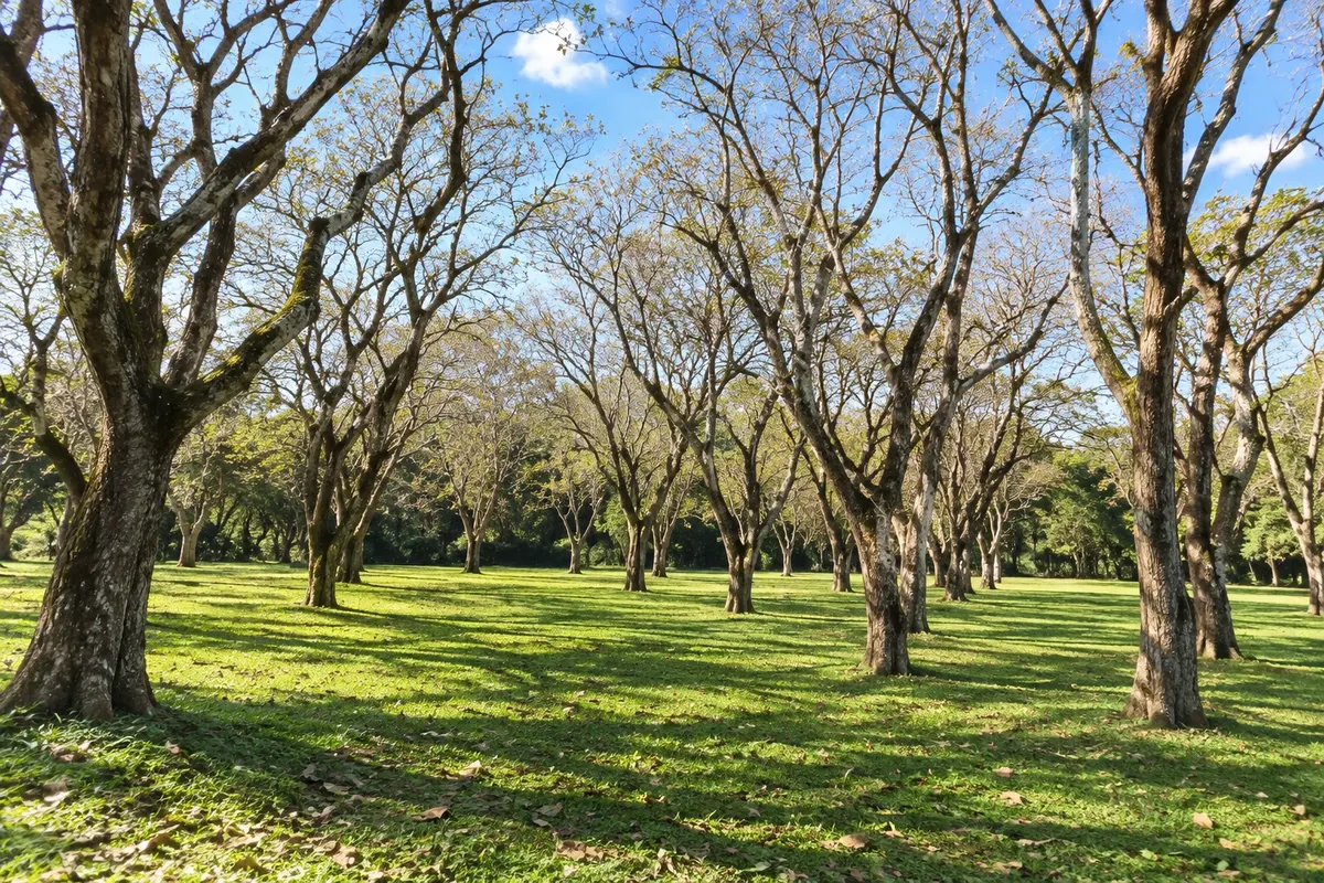 Reserva Natural Tati Yupi