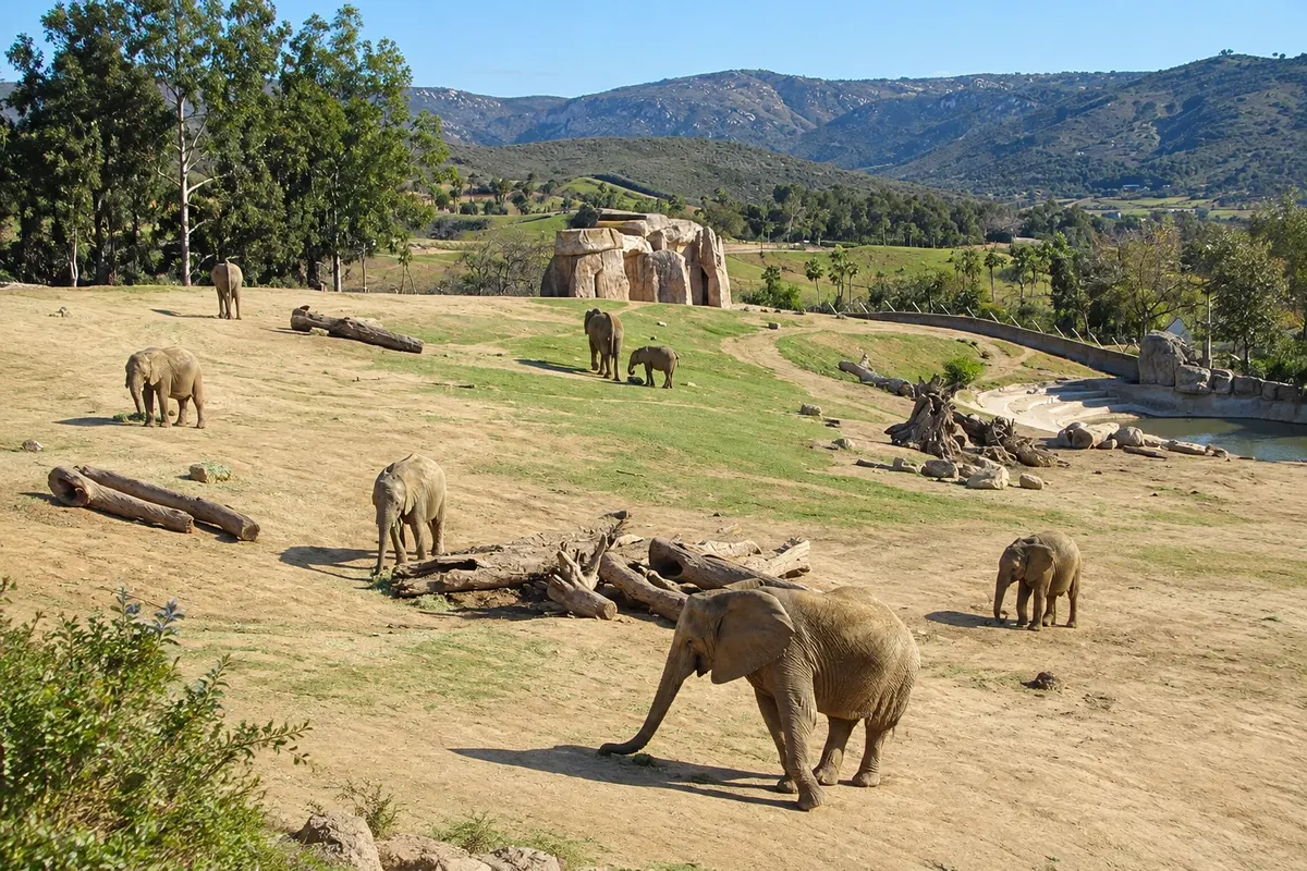 San Diego Zoo Safari Park