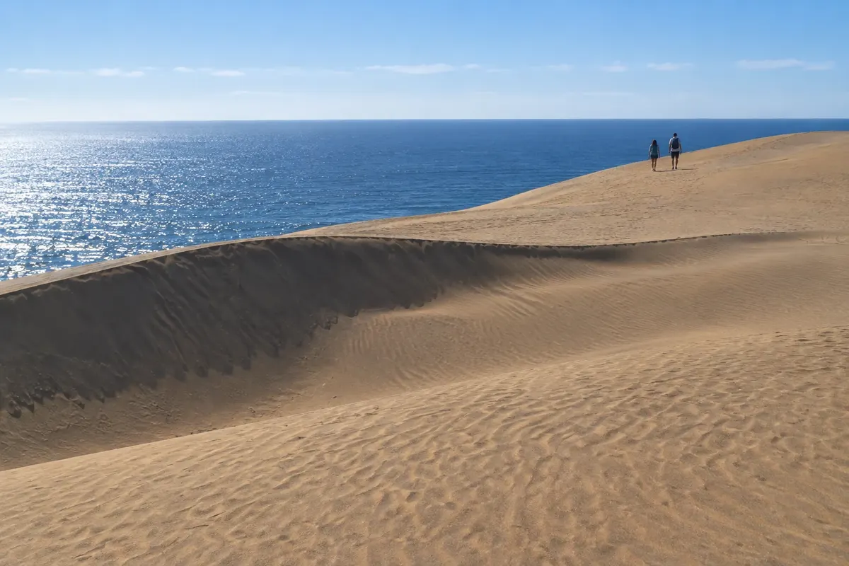 Santuario de la Naturaleza Campo Dunar de la Punta de Concón