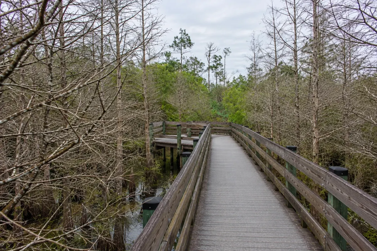 Six Mile Cypress Slough Preserve