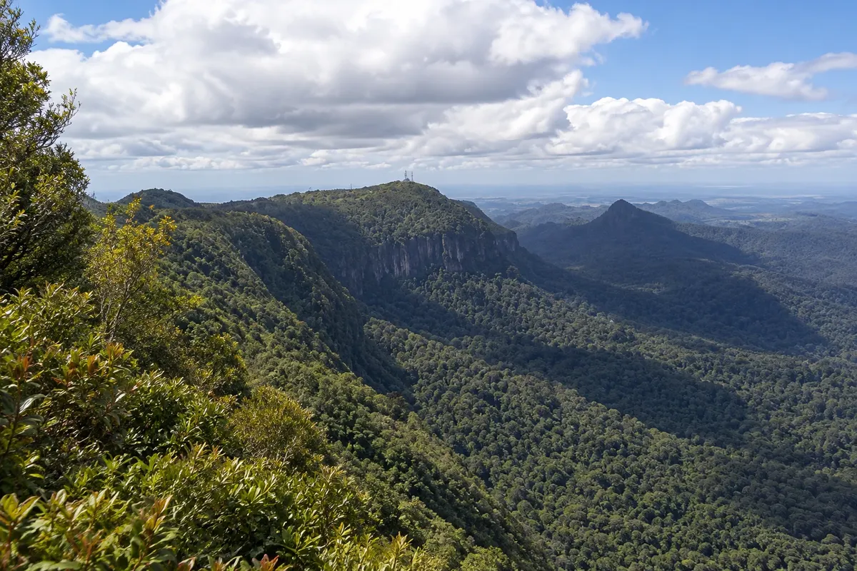 Springbrook National Park