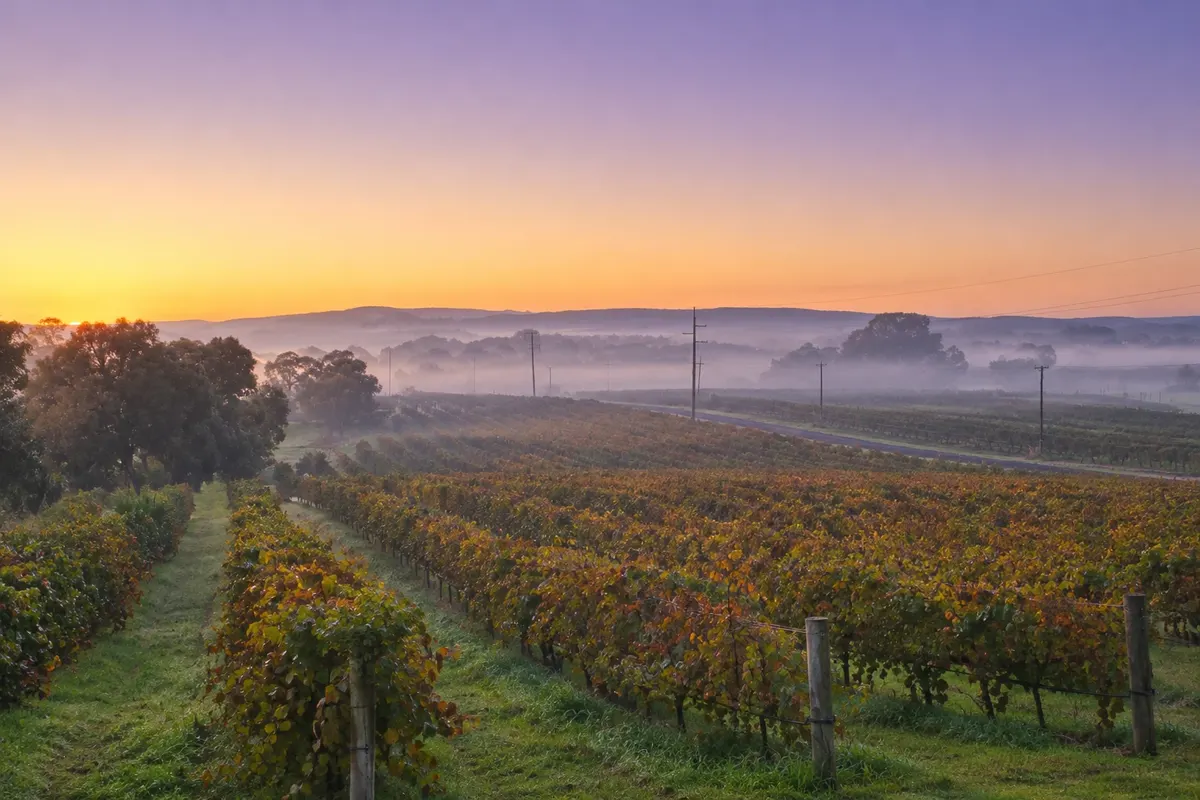 Swan Valley