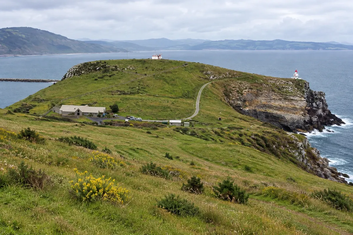 Taiaroa Head