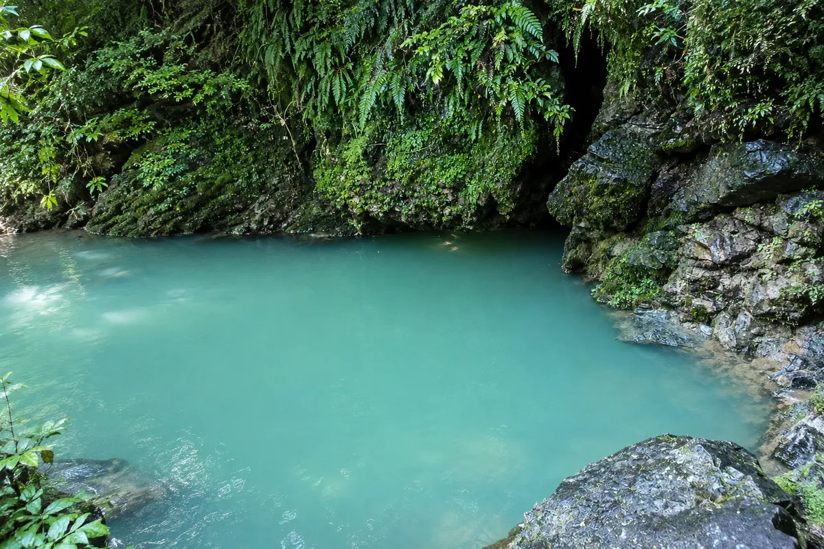 Te Puna Wai o Riuwaka (Riuwaka Resurgence)