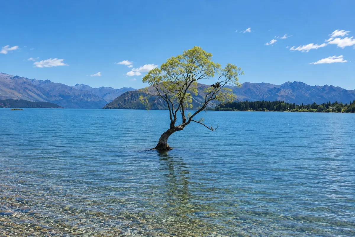 That Wānaka Tree