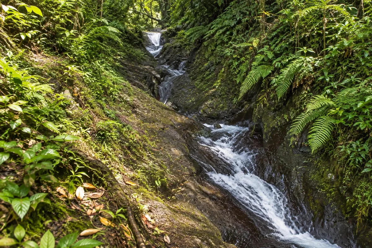 Tobogã natural de Waitavala (Waitavala Waterslide)