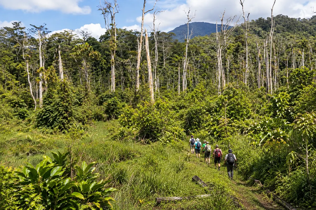 Trilha de Kokoda