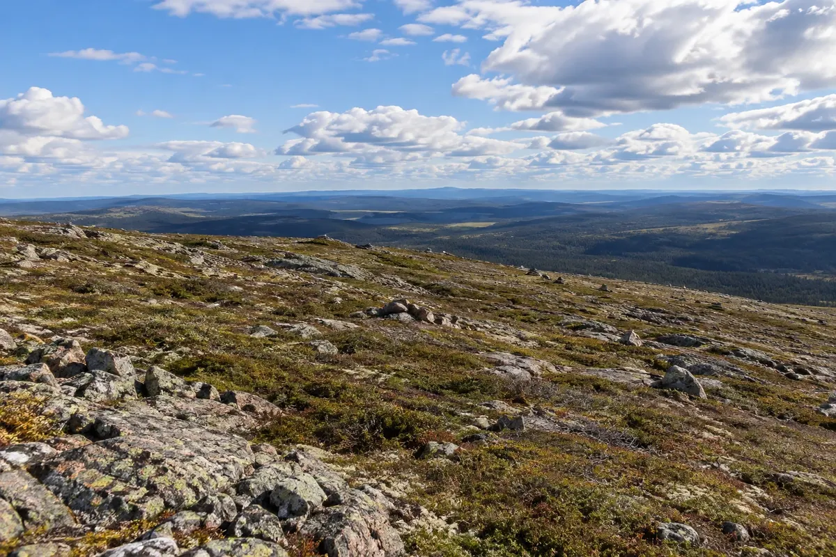Urho Kekkosen kansallispuisto – Kiilopää