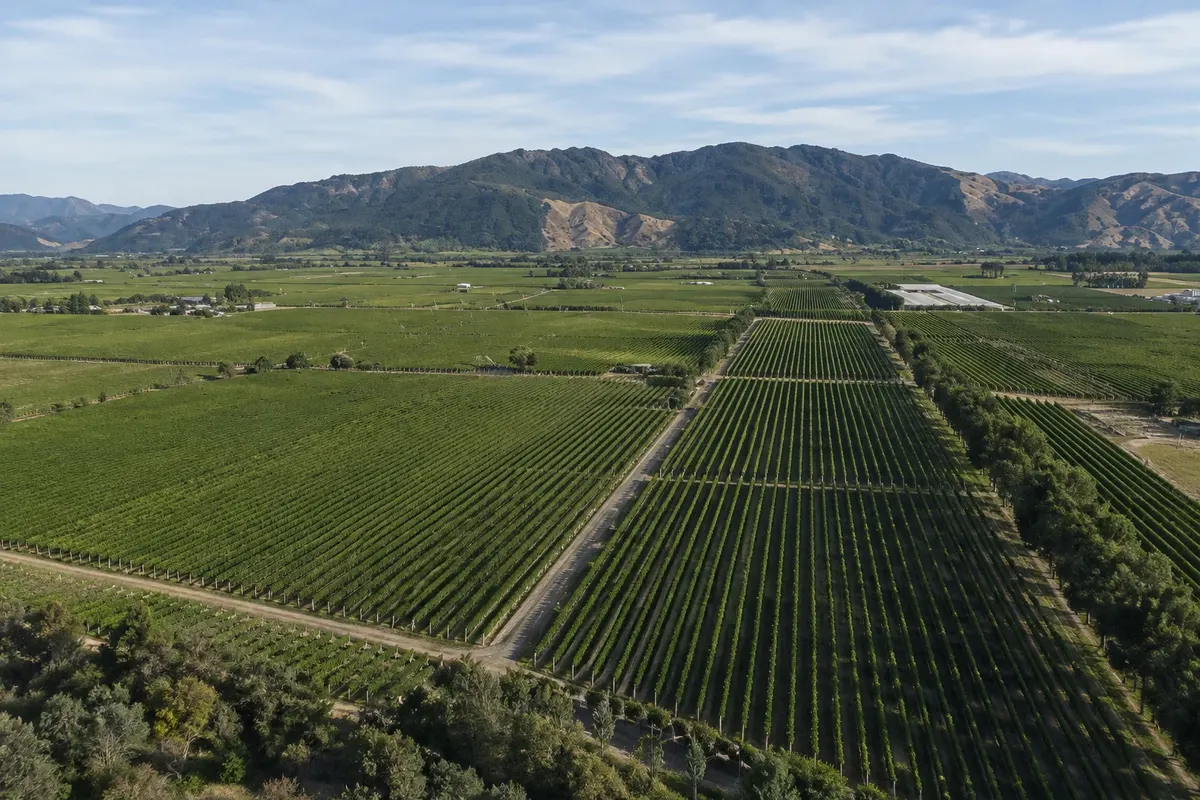 Vale do Wairau