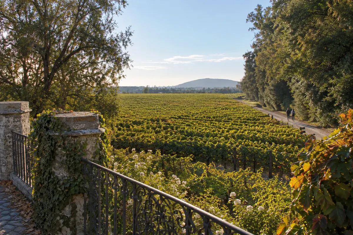 Viña Concha y Toro