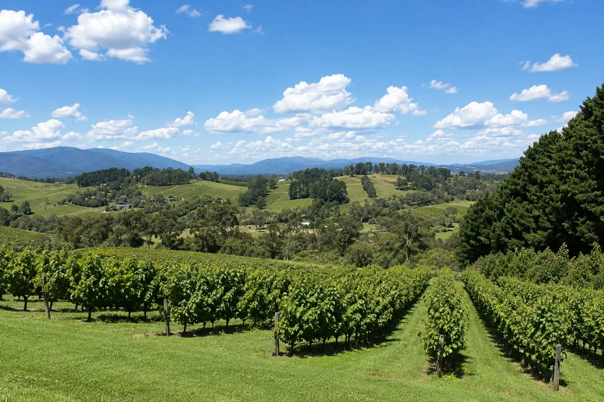 Yarra Valley