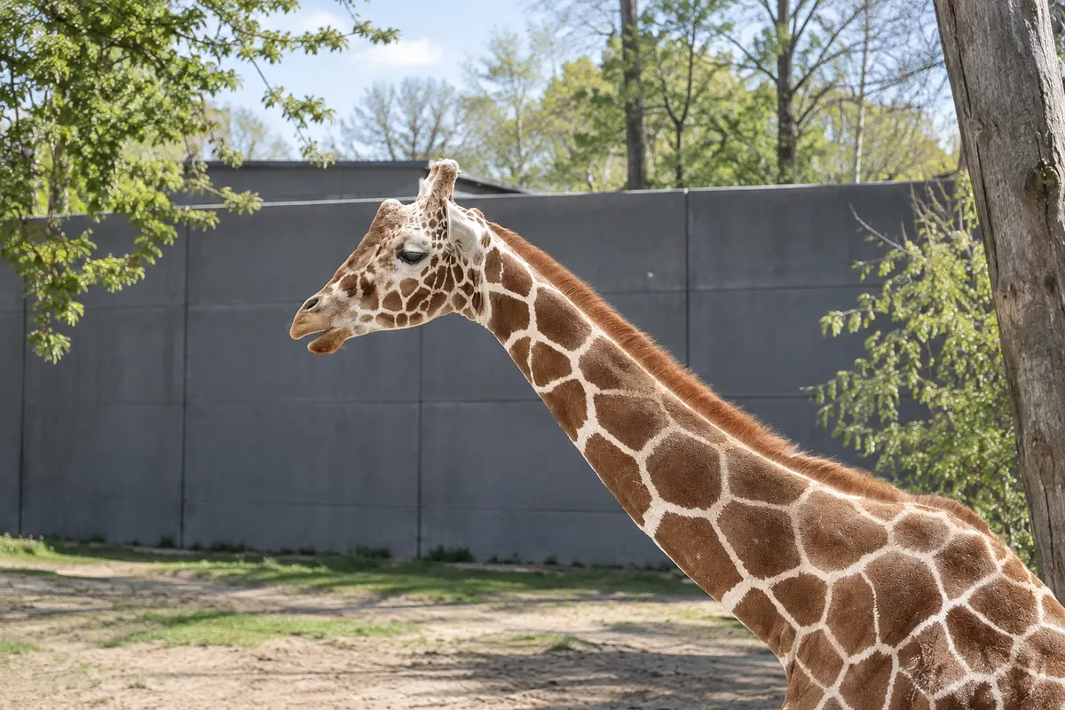 Zoo Wrocław