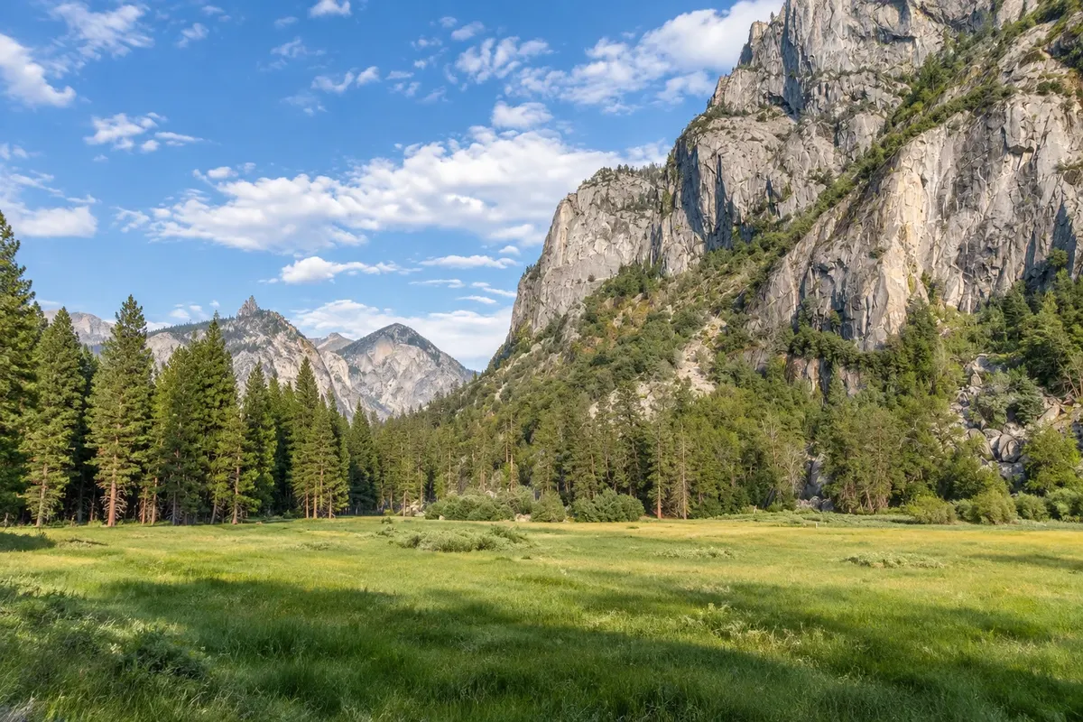 Zumwalt Meadow e Cedar Grove