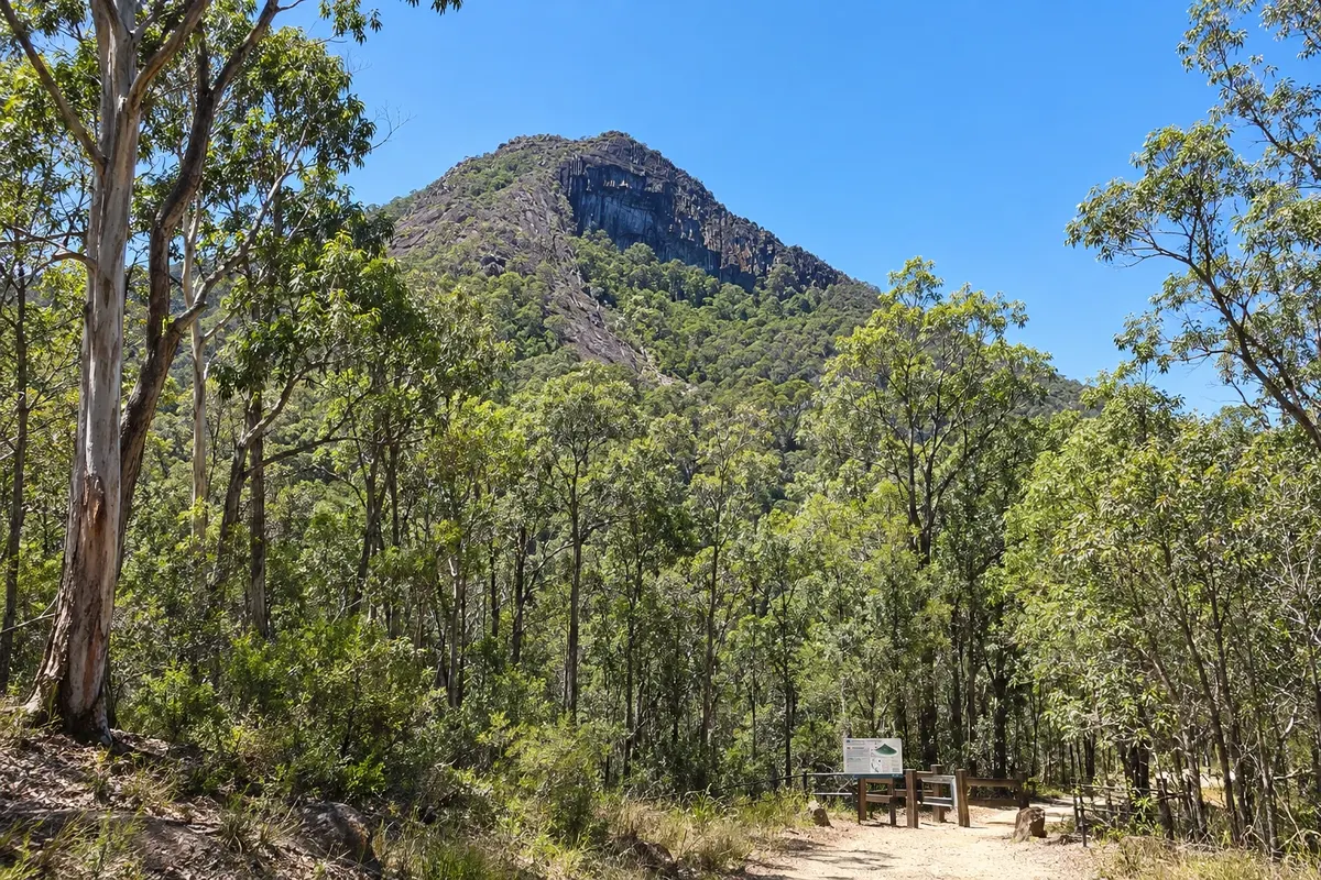 Beerwah